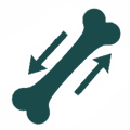 Corps & Puberté